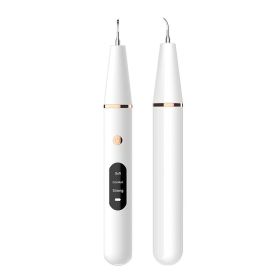 Dental Scaler Ultrasonic Cleaning To Remove Dental Calculus (Option: White english version-USB)